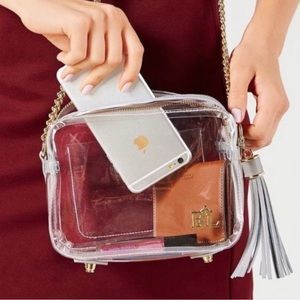 Purseption by B&L, clear vinyl bag w/ genuine gray pebble leather, chain strap